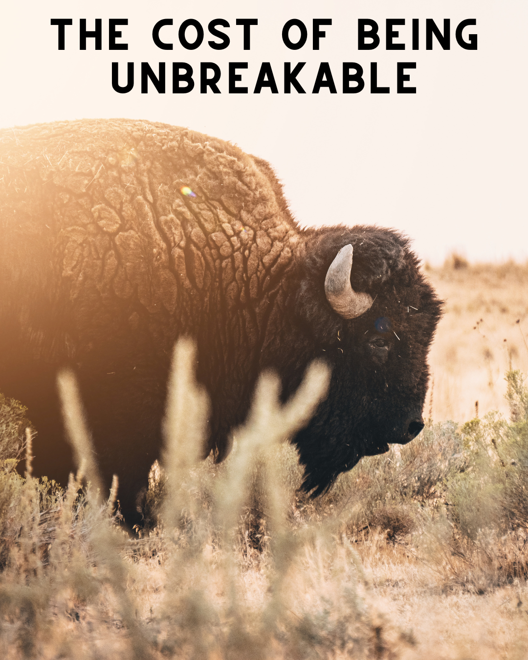The Cost Of Being Unbreakable: The Real Cost of Faux Masculinity By Cory Edwards