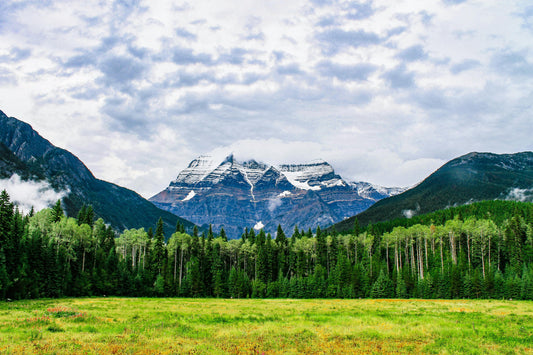 This Land Resists: The Real Stakes of Selling Off Public Lands