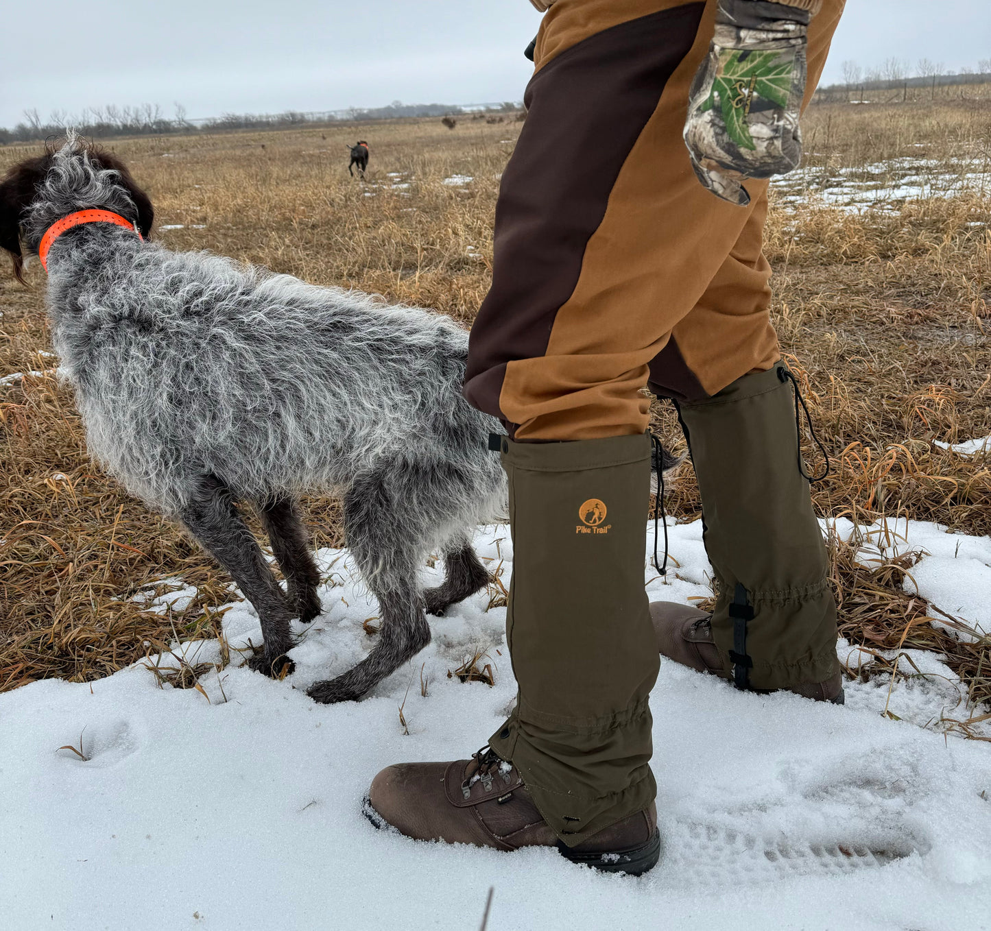 A person in brown pants and Pike Trail All-Season Waterproof Leg Gaiters stands on snowy ground beside a gray, wire-haired dog with an orange collar. Another dog appears in the distance under a cloudy sky in a grassy field.