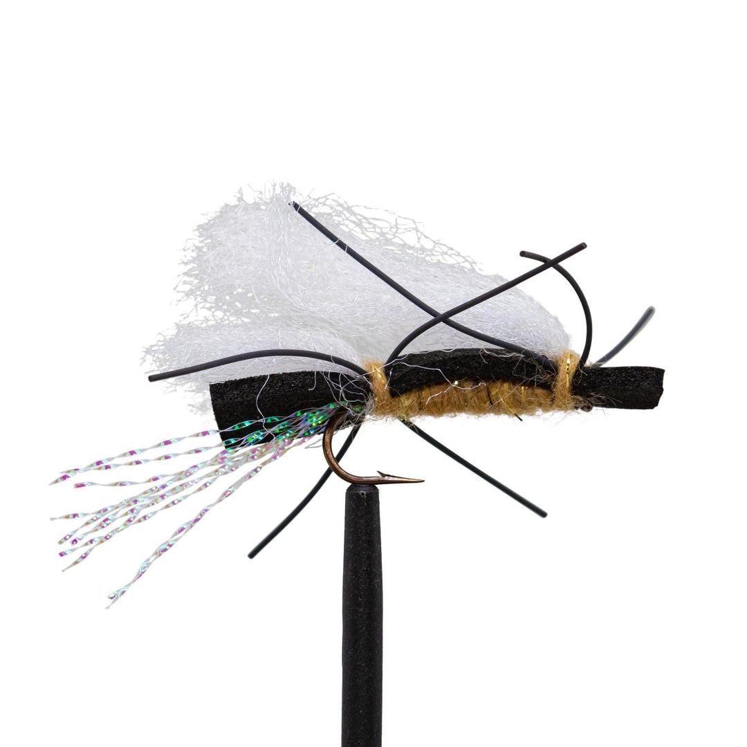 A close-up of a JHFLYCO Loaded Foam Fly Box by Jackson Hole Fly Company, featuring a brown-bodied fishing fly with white synthetic wings, black rubber legs, and iridescent tail—ideal for trout and hopper dropper rigs. Includes 50m 4X Fluoroflex tippet.