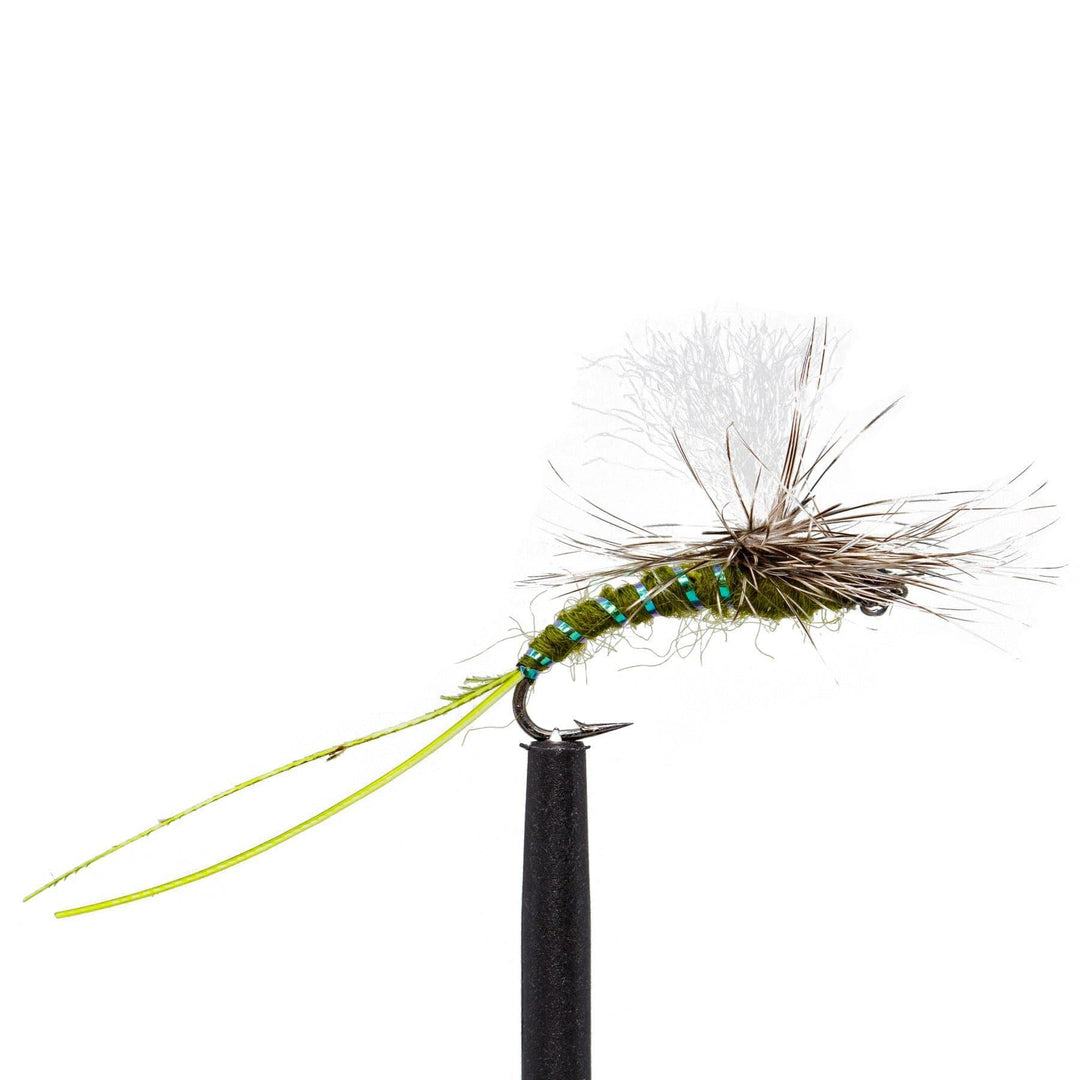 The Jackson Hole Fly Company JHFLYCO Loaded Foam Fly Box - Standard Dry Fly Assortment features essential dry flies, including green and black segmented bodies, yellow tails, and gray hackle—all mounted on black hooks against a white background.