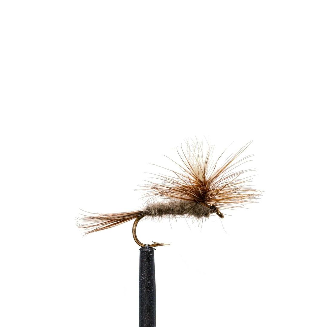 A close-up of a classic dry fly from the JHFLYCO Loaded Foam Fly Box by Jackson Hole Fly Company highlights an essential trout pattern, perfect for any angler’s selection, displayed against a plain white background.