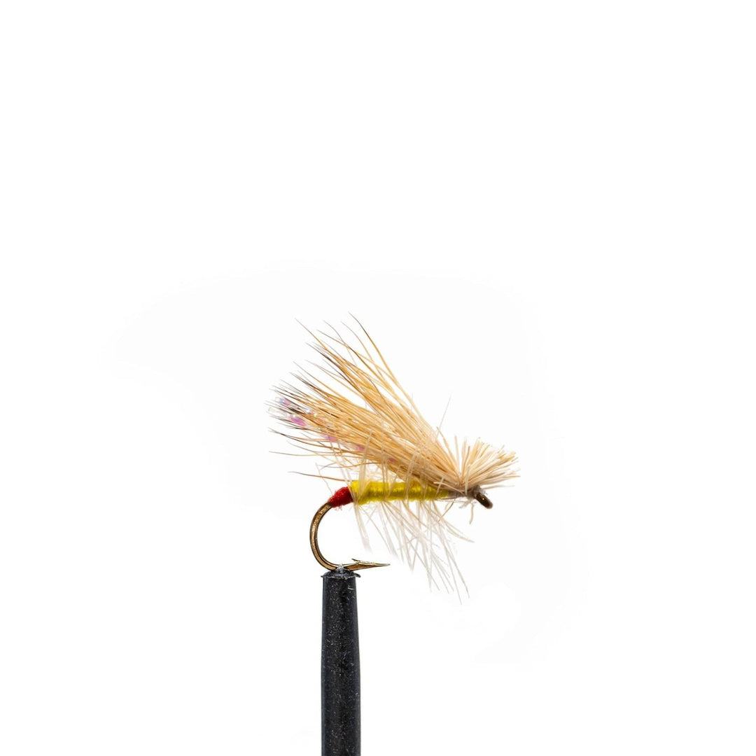 A close-up of a dry fly from the Jackson Hole Fly Company’s JHFLYCO Loaded Foam Fly Box - Standard Dry Fly Assortment, featuring a yellow body, red accent, brown feather wings, and tan hackle against a white background.