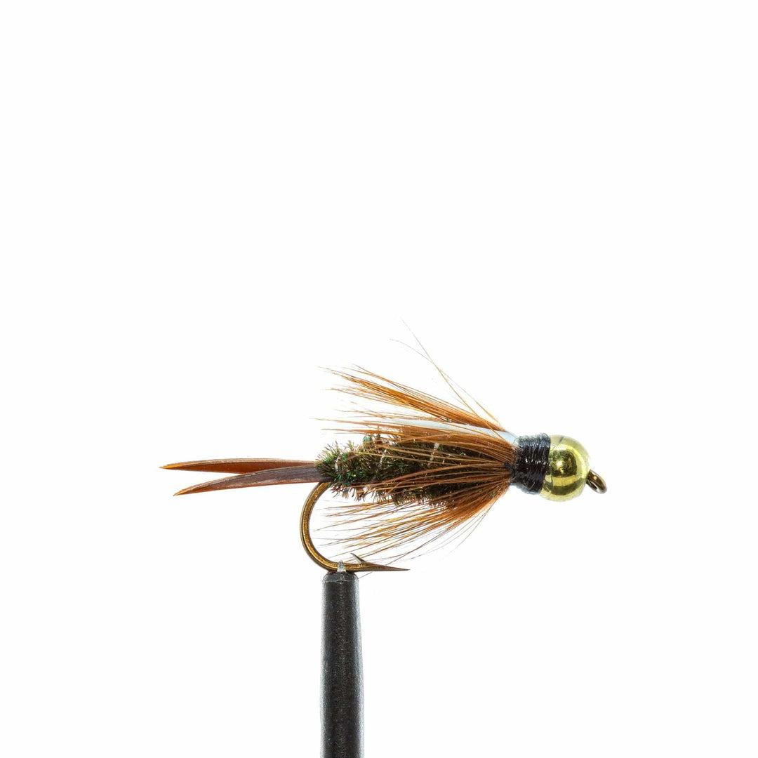 A close-up features a Jackson Hole Fly Company nymph from the JHFLYCO Loaded Foam Fly Box – Standard Nymph Assortment, highlighting its gold bead head, brown-olive body, and feather fibers against a white background.