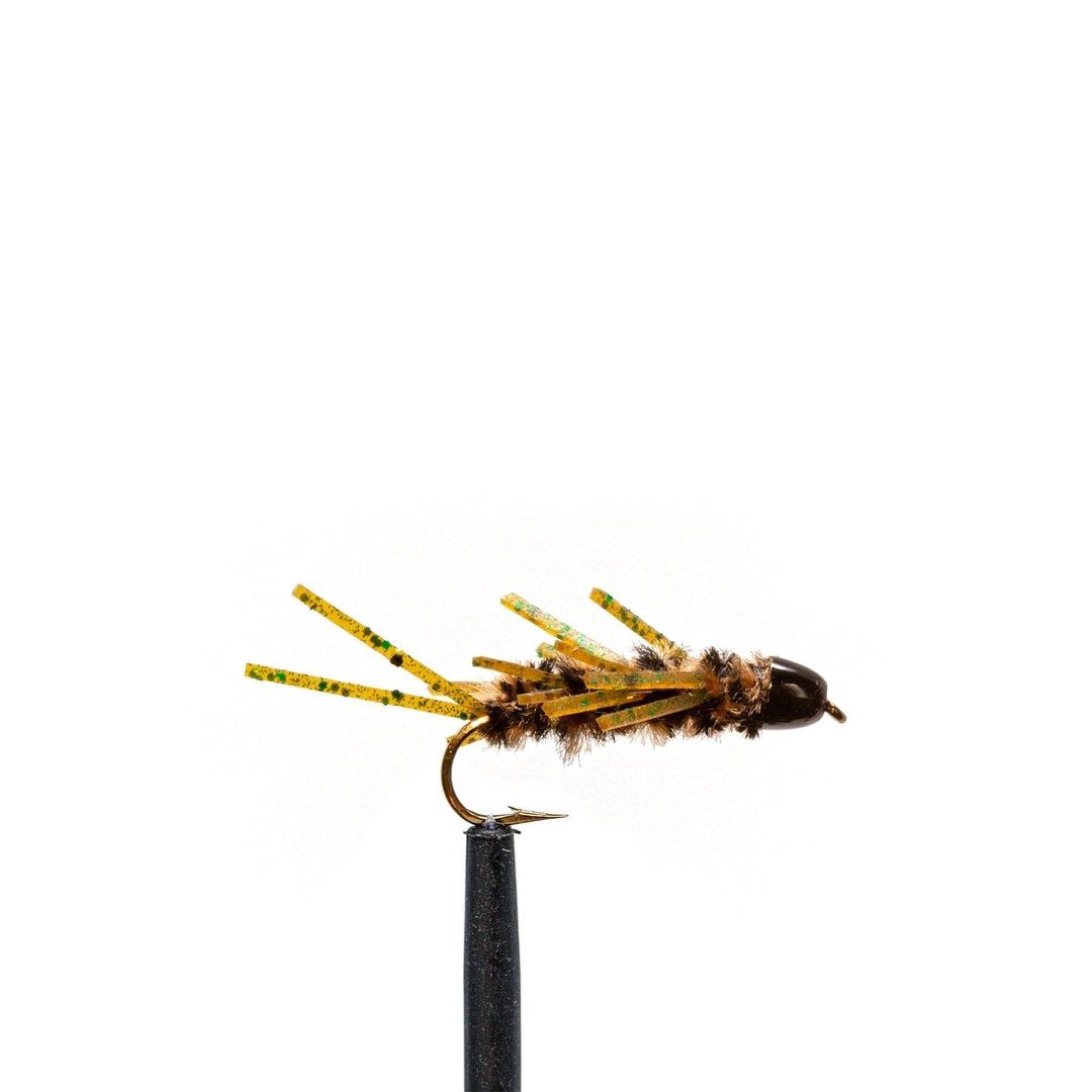A close-up of a Jackson Hole Fly Company JHFLYCO Loaded Foam Fly Box – Standard Nymph Assortment trout fly, featuring a brown body, yellow speckled legs, and dark head, showcased against a plain white background.