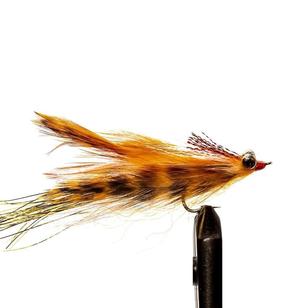 A close-up of a JHFLYCO Loaded Foam Fly Box - Redfish Assortment by Jackson Hole Fly Company, featuring hand-tied artificial flies with orange, yellow, and brown feathers—ideal for redfish—displayed on a white background.