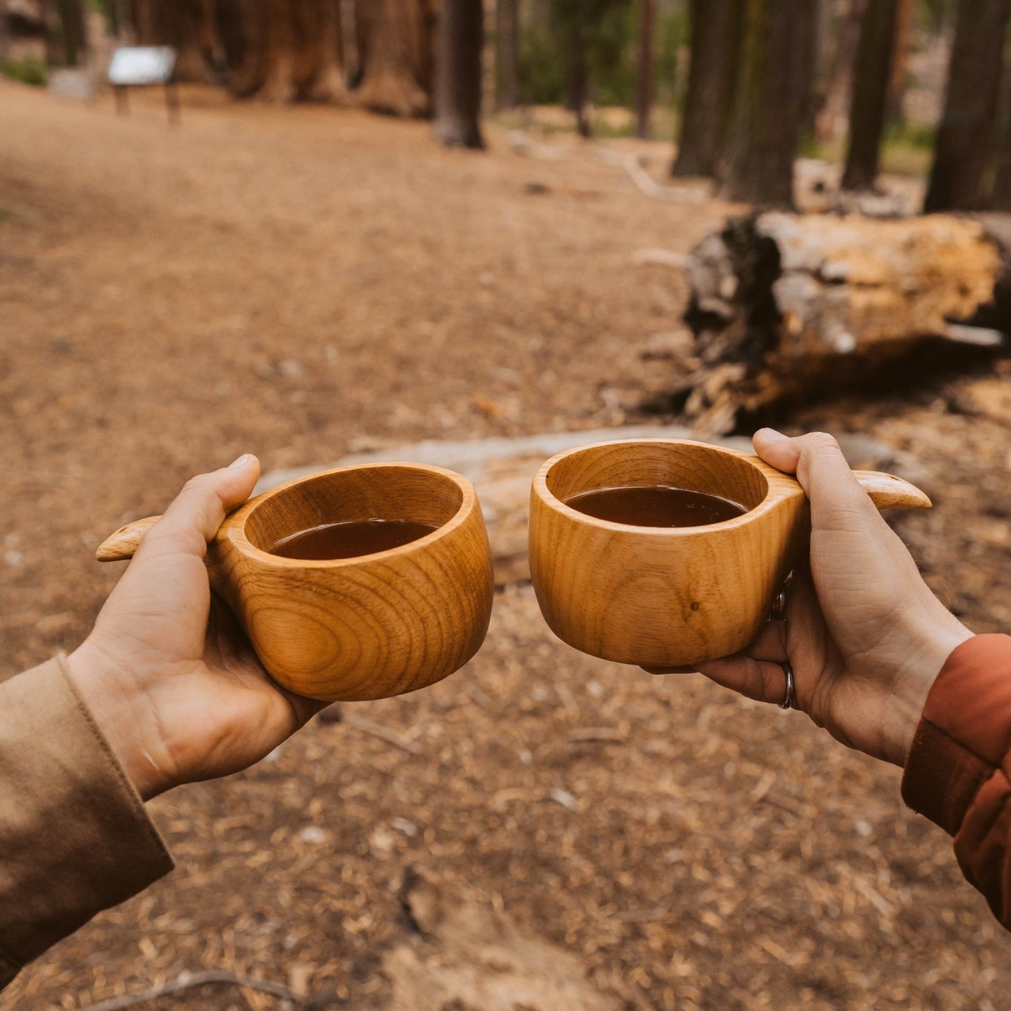 Two hands raise Überlebens The Lore – Oversized Hardwood Kuksa mugs, filled with a dark drink, to toast in a forest among trees and fallen logs.