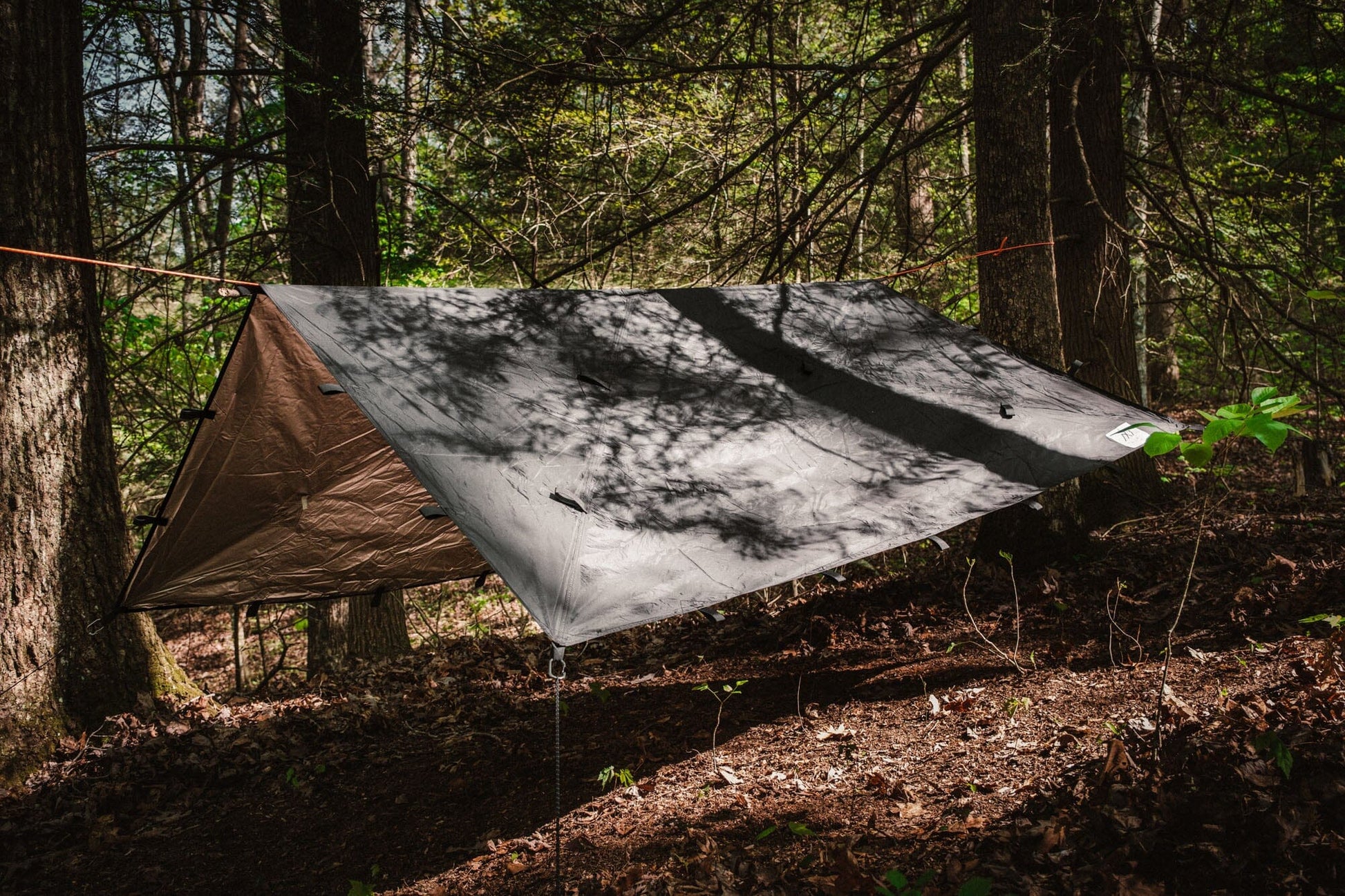 The TACAMO® Bushcraft Reflective Shelter Tarp by TITAN Survival is set up between trees in a forest, with sunlight and tree shadows on the tarp and the leaf-covered ground.